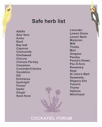 Safe Herbs For Cockatiels Cockatiel Pet Birds Parrot Toys