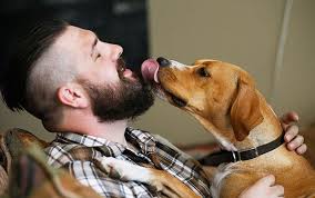 The Best Solutions Journalism of 2016