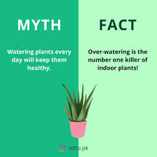 Looking for some flower facts? Plant Myths Uncovered Sohostorepk Plantmyth Mythvsfact Mythbuster Plantfacts