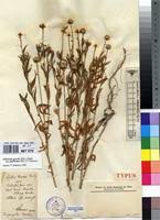 Image result for Athroisma