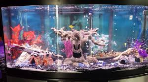 5 out of 5 stars. Xxl Aquarium Decorations Online Off 67