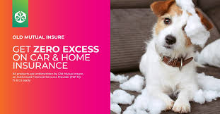 It is listed on the johannesburg stock exchange, zimb. Old Mutual Insure On Twitter With Our Zeroexcess Option You Don T Have To Pay Twice When You Claim Click Here Https T Co Omjpove43i For A Quote And Enjoy Zeroexcess On Your Car And Home