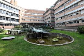 En 2021 tienes 714 alquileres vacacionales cerca de ospedale maggiore di bologna: Il Policlinico Sant Orsola Diventa Irccs Unibomagazine