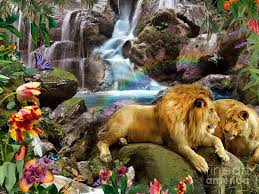 Love Lion Waterfall By Alixandra Mullins Animals Beautiful Lion Cat Art