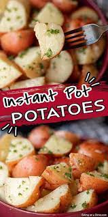 Pin On Food
