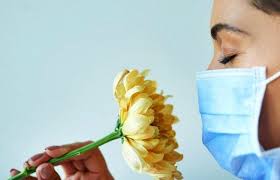 Poterya Nyuha I Vkusa Obyazatelno Li Eto Koronavirus Checkpoint