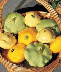 But really, if you've grown cucumbers and tomatoes, you can definitely grow summer squash and zucchini. Squash Summer Summer Scallop Hybrid Mix Garden Seeds And Plants