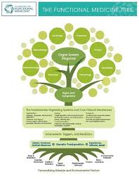 Functional Medicine Holistic Medicine Integrative Medicine Functional Medicine Doctors