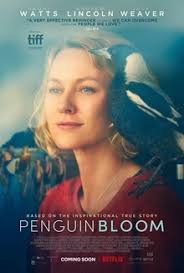 For 2020 holiday season and beyond, if you are having difficulty working your way through netflix shows and want to be entertained in a big way, here is your this is a great new netflix original for the fans of historical mysteries and crime dramas. The Vanished Movie Review Film Summary 2020 Roger Ebert