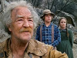 The Illustrated Little House