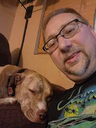 Lost dogs and cats in Rockford, IL