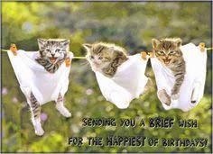 Funny Birthday Wishes Pics For Friend Funny Birthday Wishes For Friends On Facebook Birthday Wishes Funny Cat Birthday Wishes Funny Happy Birthday Wishes