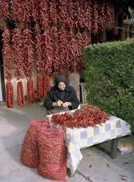 Magyar Paprika Hungary Ungarn Balaton Reisen