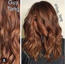 Pin By Agnese Kalnina On Hair In 2020 Hair Painting Warm Brown Hair Ronze Hair