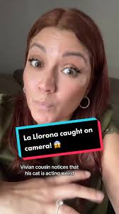 Vivian Explains What Jappend