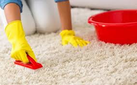 Just pour the vinegar on a. Simple Steps How To Clean Carpets With Vinegar