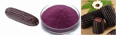 High Quality Natural Herbal Extract Purple Corn Powder - China purple corn  powder, purple corn extract powder | Made-in-China.com