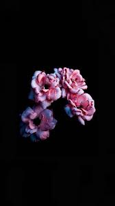 خلفيات للموبايل 2019 خلفيات حلوة بجودة hd tecnologis painting wallpaper flower wallpaper android wallpaper