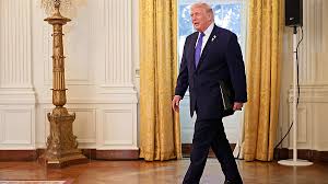 Trump gets up and wanders away mid-conference to stare at his ballroom  construction and say 'Wow, what a view' | The Mary Sue