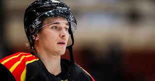 Elva spelare lämnar Brynäs