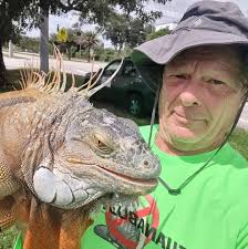 A mysterious rooster showed up at Red Reef Park a few months ago and  quickly became the talk of the beach. Where he came from is still unknown,  but his confident strut