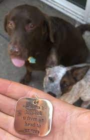 19 Pet Id Tags That Are Hilarious Yet Valid Forms Of Identification Dog Tags Pet Dog Tags Funny Dog Tags
