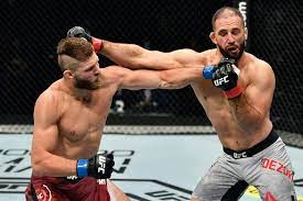 Cub swanson # light heavyweight. Jiri Prochazka Hit A Viral Ko On His Debut And Now Wants The Ufc Title
