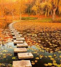 عکس پاییز بارانی برای پروفایل :: اسم نوشته مجله سرگرمی و تفریحی