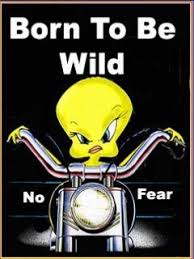 Download the best hd and ultra hd wallpapers for free. Tweety Bird With Quotes Download Tweety Biker Cute Wallpapers To Your Cell Phone Attitude Tweety Tweety Bird Quotes Bird Quotes