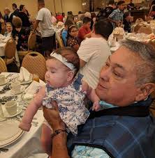 How to get rid of flying ants in my house?