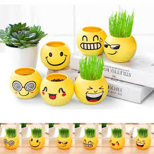 Smiley public library) ina garten's 12th cookbook couldn't have arrived at a better time and is appropriately titled, modern comfort food. in it, you'll find many. Emoji Smiley Handgefertigte Mini Dekorative Pflanzer Und Grass Knospen Gelb Gunstig Im Onlineshop Von Joom Kaufen