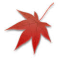 We did not find results for: Maple Leaf Emoji