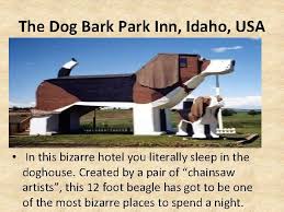 The dog bark park inn in idaho is a site to behold. Strange Hotels Project 2020 The Dog Bark Park
