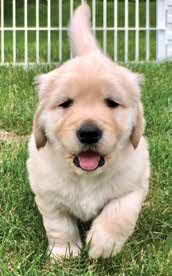 Reducing Barriers & Increasing Connections