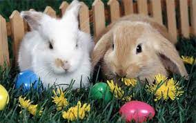 30 Brightly Colored Easter Wallpapers For Free Naldz Graphics Cute Easter Pictures Cute Easter Bunny Easter Wallpaper
