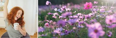 The declension of frühling as a table with all forms in singular (singular) and plural (plural) and in all four cases nominative (1st case), genitive (2nd case), dative (3rd case) and accusative (4th case). Fruhling Und Alles Was Dazu Gehort