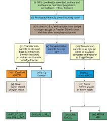 General Flow Chart For Soil Sampling And Analysis