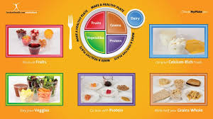 Looking for a good deal on fruit plate? My Plate Nutritioneducationstore Com