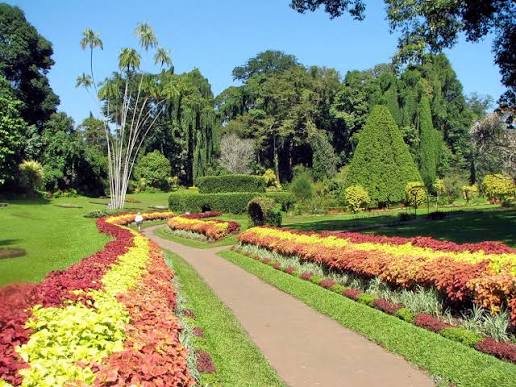 Mawanella Spice Garden
