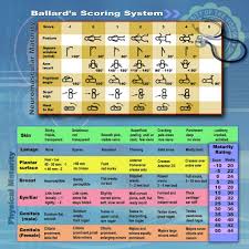 the ballard maturational assessment ballard score or