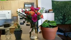 Send fresh, beautiful blooms at prices you'll love! Sendflowers Reviews 882 Reviews Of Sendflowers Com Sitejabber