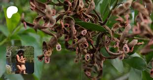 SIENDO VIAJEROS | Naturismo & Nudismo viajero | Patreon