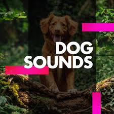 White Noise For Dogs Original Mix By Dog Music Boomplay Music
