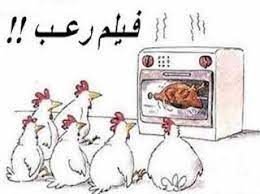 pin on parc national de banff