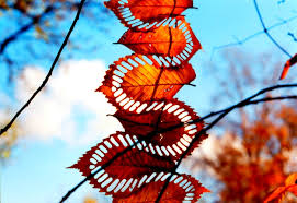 Download Sylvain Meyer Leaf Art Inhabitat Green Design Innovation Architecture Green Building