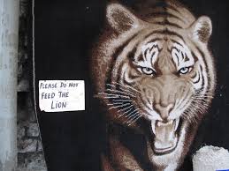 Please do not feed the lion | ... or tiger? | duncan cumming | Flickr