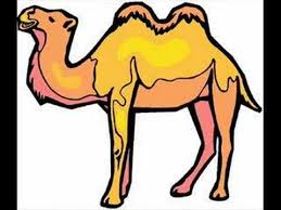 These animals, commonly referred to as mammals , are distinguished from reptiles and birds in that they possess a neocortex, a part of the brain which is involved in functions such as sensory perception, cognition, spatial reasoning, and most importantly. Animals Children S Song Youtube