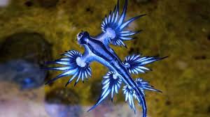 B eleanor onlyfans the girl is entertaining like a long