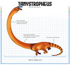 Image result for Tanystropheus