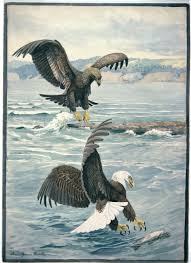 Choose your favorite eagle paintings from 10,483 available designs. Tom Goldsmith Tom Thewildway Twitter